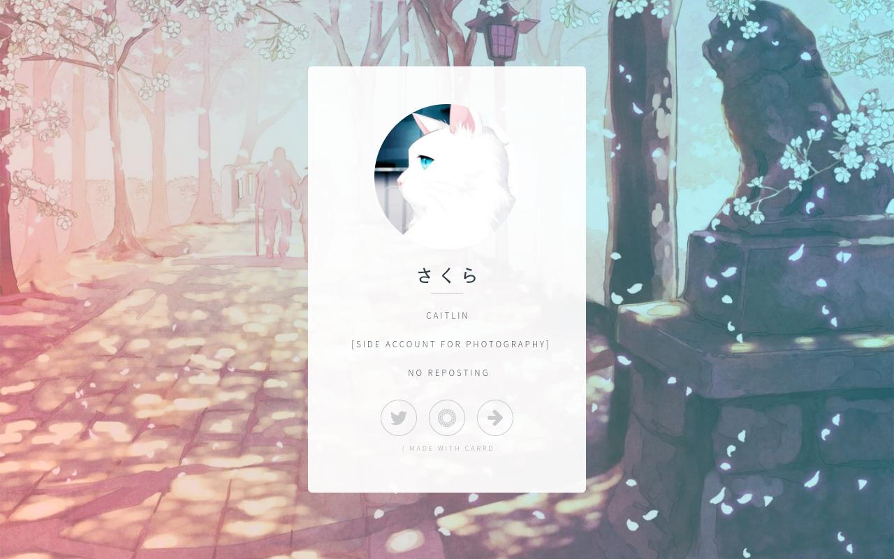 Carrd profile picture for @polaroid